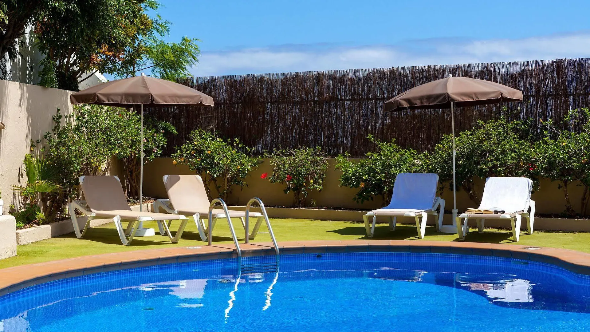 Apartamentos Los Dragos Del Norte Puerto de la Cruz  Apartment