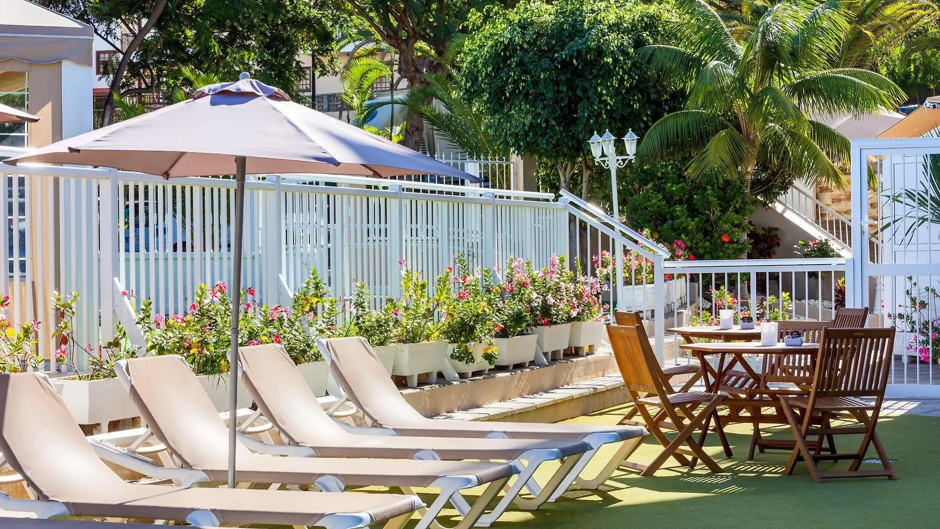 Apartamentos Los Dragos del Norte Puerto de la Cruz  España