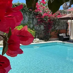 With Private Swimming Pool And Garden Apartamento Cascaes